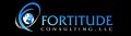 FORTITUDE CONSULTING LLC